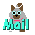 [͂܂
