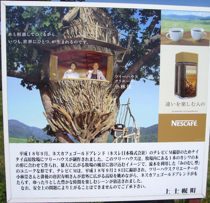 c[nEX̐