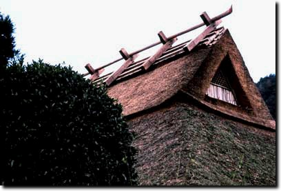 茅葺きの屋根