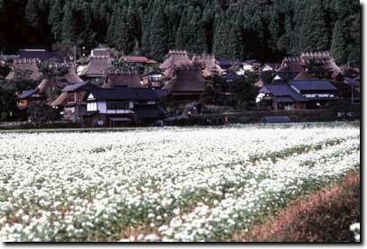 美山町保存地区