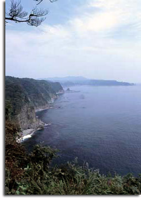 鵜ノ巣海岸