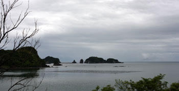 R42からの海