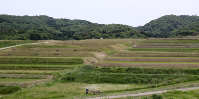 棚田
